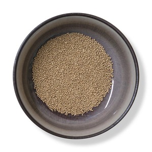 Brasseurs Levure Alimentation animale Brasseurs Poudre de levure Protéine enrichie pour l'alimentation des volailles, des bovins et des porcs Disponible au prix de gros - Product Image 6