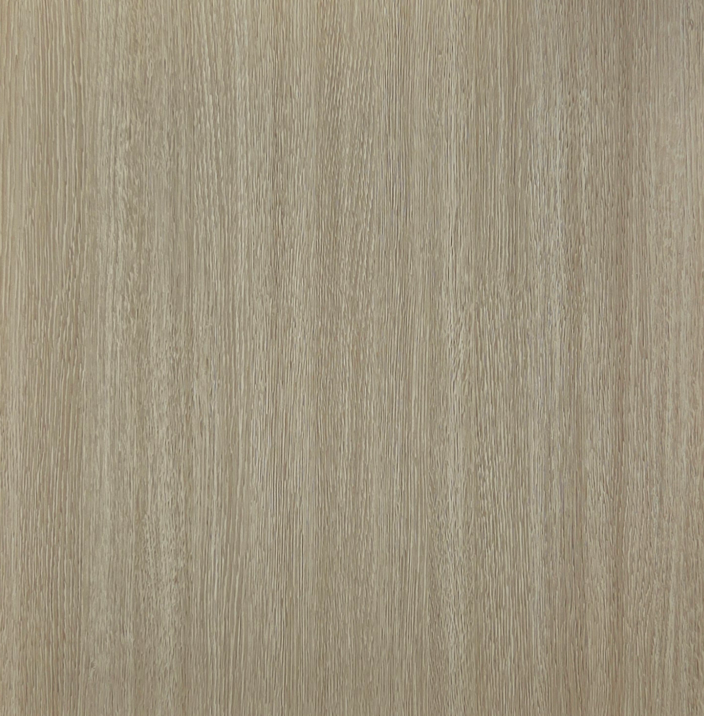 ต้นโอ๊กฝรั่งเศส