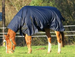 600D RIP STOP & 350g Combo Heavyweight Horse Turnout Rug Toutes les tailles 5'3 "-7'0" - Product Image 2