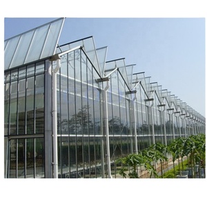 Serre commerciale en verre One One Horticulture, serre hivernale isolée, serre en métal et aluminium de type Venlo, serre agricole en verre - Product Image 5