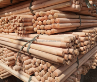 Manche de balai en bois peint de haute qualité avec poils doux, design portable, écologique et durable