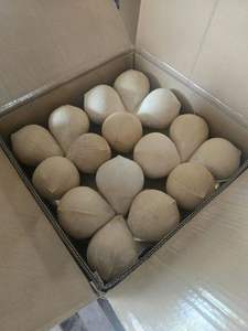 เนื้อมะพร้าวอ่อนคุณภาพพรีเมียม ตัดแบบเพชร ห่อฟิล์มหดความร้อน บรรจุภัณฑ์ 100% สดใหม่ พร้อมใช้ ส่งออก แบบกึ่งปอกเปลือก - Product Image 4