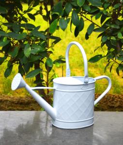 Arrosoir contemporain en métal bicolore avec finition douce beige et or idéal pour les amateurs de balcon ou de plantes d'intérieur - Product Image 3