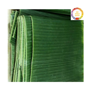 Feuilles de bananier surgelées IQF pour l'emballage alimentaire et la cuisine, prix bas, 100% feuilles de bananier vertes fraîches - Product Image 4