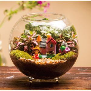 <span class=keywords><strong>Plante</strong></span> <span class=keywords><strong>monde</strong></span> chaud <span class=keywords><strong>maison</strong></span> petite bouteille écologique paysage - Product Image 2