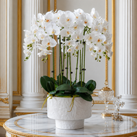 Orchid Phalaenopsis Buatan Sentuhan Realistis untuk Dekorasi Hotel dan Interior