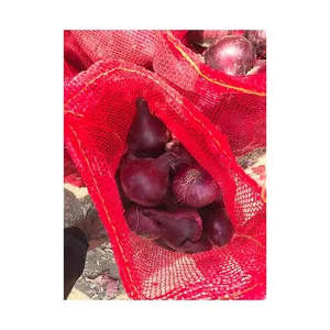 Fresh Red Onion Bag