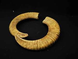 Nourriture pour chiens la plus vendue, nourriture pour animaux de compagnie naturelle à base de buffle d'eau, nourriture pour animaux de compagnie naturelle et saine, corne de buffle d'eau pour nourriture à mâcher pour chiens - Product Image 4