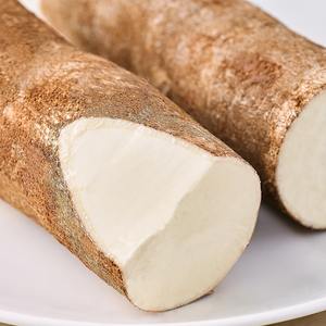 Yuca fresca a granel Alto contenido de almidón 100% Yuca fresca Cosecha natural Perfecta para el procesamiento y la exportación de alimentos - Product Image 6