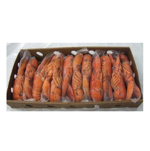 Langostas Canadienses Frescas y Económicas / Colas de Langosta Congeladas - Product Image 6