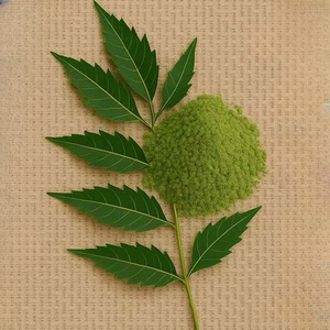 Polvo de Hoja de Neem Orgánico para Alergias en la Piel de Mascotas y Alivio de Puntos Calientes, Ingrediente Natural a Base de Hierbas para Bálsamo Canino y Cuidado de la Piel de Gatos - Product Image 4