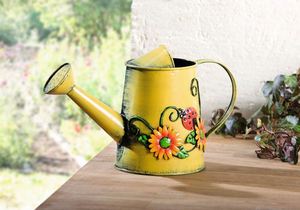 Maceta de Metal galvanizado para riego de plantas de interior, maceta para plantas de interior y exterior, flores, casa y jardín - Product Image 6