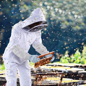 Traje de Apicultura Ventilado de Malla para Adultos y Niños, Hecho a Medida, Suministros de Fábrica, Venta al Por Mayor - Product Image 5