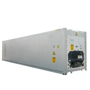 High Quality Refrigerated Frozen Food Cold Room 20ft Reefer Container Cheap price
