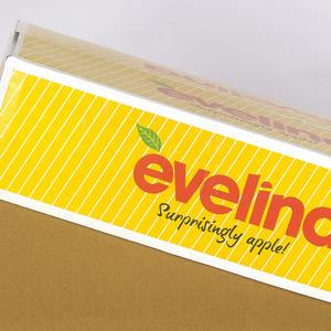 Direct Factory Supply Printed Corrugated Apple <b>Box</b> with Handles for Easy Transport and Display Available at Export Price - Product Image 2