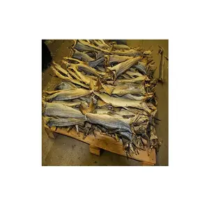 100% kering kualitas tinggi asinan atlantic Pasifik cod ikan fillet kemasan jumlah besar untuk dijual