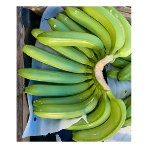Banane verte fraîche de Cavendish pour l'exportation-banane fraîche du Vietnam-premier fournisseur de fruits et légumes frais - Product Image 1