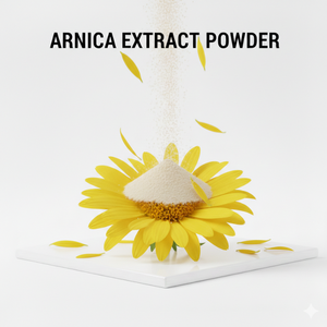 Poudre d'arnica professionnelle pour les marques de soins de la peau et les fabricants de produits cosmétiques - Product Image 3