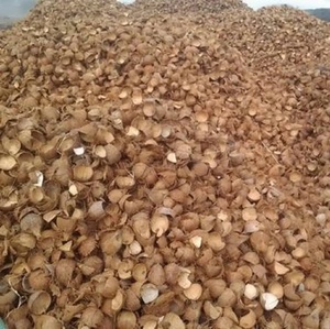 Coques de noix de coco brutes pas chères en provenance du Vietnam, pour l'Europe / la Turquie - Product Image 4