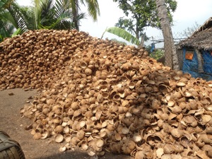 ถ่านเปลือกปาล์ม/ถ่านเปลือกมะพร้าวบริสุทธิ์ 100% - Product Image 6