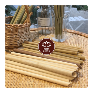 Pajitas de bambú natural reutilizables más vendidas Pajitas biodegradables ecológicas Pajitas sostenibles sin residuos con limpiador - Product Image 1