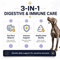 Poudre Probiotique Canine en Vrac OEM Sachets de Probiotiques pour Chiens 2,5 Milliards d'UFC Synbiotiques Enzymes Digestives Fibres de Citrouille Lot de 30