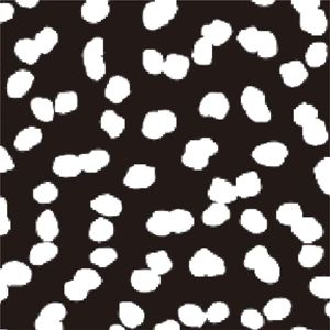 OEM Custom Manufacturer Women's High Waist Leggings Mesh Stretch Workout Running <b>Tummy</b> <b>Control</b> Yoga Pants - Product Image 6