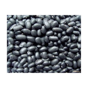 New Crop BRASIL Frijoles negros-Forma larga 190-200 | Frijoles negros orgánicos 25kg 50kg - Product Image 5