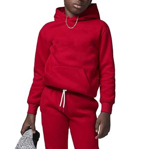 Sweat-shirts à capuche pour hommes, design personnalisé OEM, style élégant, faible MOQ, polaire d'hiver, sweat-shirt à capuche épais et lourd, sweat-shirt vierge 2026 - Product Image 1