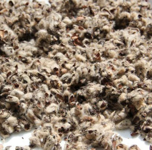 Tela Charmeuse de Cáscara de Semilla de Algodón Cardada KBS, 120 GSM, No Tejida, Muy Pesada, para Accesorios, Sudáfrica, 24 Meses de Vida Útil - Product Image 4