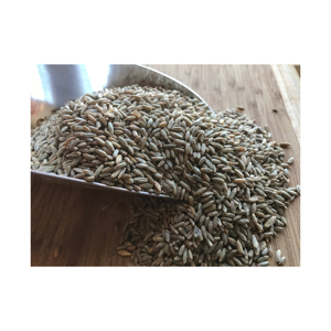 Roggekorrel Voor Dierlijke En Menselijke Voeding Van Biologische Tarwekorrels/Biologische Producten Gecertificeerde Biologische Roggebessen | 5 Pond Volkoren Tarwekorrel - Product Image 2