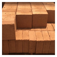 Brique de substrat de tourbe de coco basse EC idéale pour la culture hydroponique et les lits de jardin, alternative propre et organique au sol traditionnel
