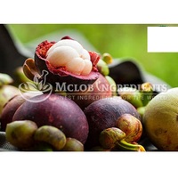 Natuurlijk Garcinia Cambogia Extract Kruidenplantenextract voor voedingswelzijn en botanische producttoepassingen