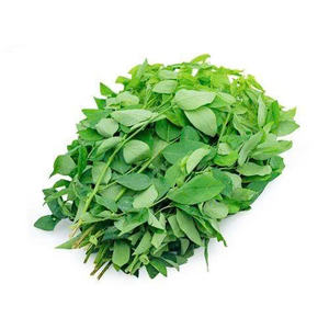 OFFRE EN VRAC FOURNISSEUR DE FEUILLES SUCRÉES VENTE EN GROS PREMIUM NATUREL BIO THÉ HERBES EXPORTATION TOP VENTES FOURNITURE USINE - Product Image 4