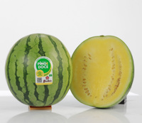 Flor De Goias Pingo Doce Verse Gele Watermeloen - Hoge Brix, Knapperig, Weinig Zaden, Stevige Vruchtvlees, Premium Kwaliteit, Lange Houdbaarheid, Klaar om te Eten