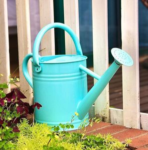 Arrosoir en métal classique et confortable pour votre jardin – Arrosoirs en métal pour un arrosage élégant de votre jardin - Product Image 3