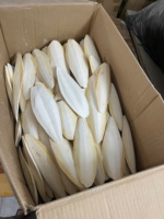 Os de Seiche Séchés de Haute Qualité du Vietnam, Certifiés HACCP ISO, Grade A, Séchage Naturel au Soleil, 4-15cm, Bon Prix - Liam