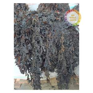 Vietnam Export Dried Sargassum <b>Seaweed</b> Brown <b>Seaweed</b> for Animal Feed Fertilizer High Quality - Product Image 1