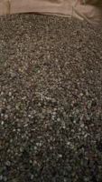 [Premier exportateur] Café Robusta en grains verts entiers, best-seller, en sac de jute - Origine Vietnam - Meilleur prix et qualité supérieure - Phalco