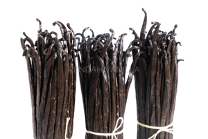 Vainas de Vainilla Planifolia - Grado 2 - 14-15.9 cm, Vainas Secas Naturales de Indonesia, Venta al por Mayor, Precios Competitivos - Product Image 6