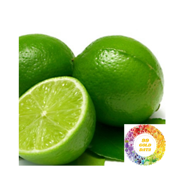 New Season Fresh Green Limes Citrus Fruit Best Quality For Export And Distribution With Attractive Competitive Price