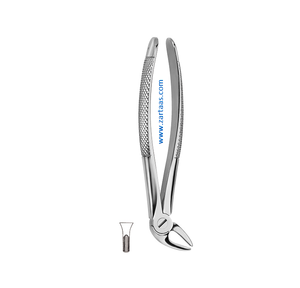 Fórceps de extracción de dientes de acero inoxidable de alta calidad Fig.4 Caninos inferiores y bicúspides Herramienta de cirugía oral dental quirúrgica - Product Image 5