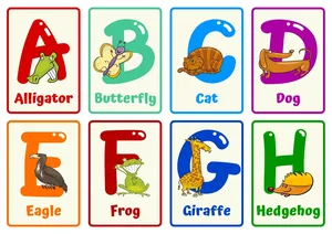 Personalizado colorido ilustrativo alfabeto Flashcards impressão animal alfabeto Flash cartões