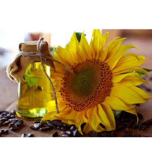 Semillas de Girasol Crudas y Secas de Alta Calidad para Snacks y Agricultura, Empacadas en Bolsas para Exportación - Product Image 2
