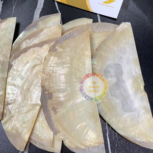 Blancs de coquille de nacre blanche polie pour incrustation et décoration murale de maison de bijoux-Caryln 0084935825297 - Product Image 3