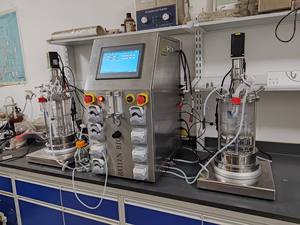 Bailun 10L bioréacteur bio fermenteur types de vaccin bioréacteur en verre à agitation mécanique utilisé BLBIO-GJ de culture - Product Image 5