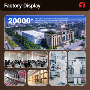 OEM/ODM Marque Privée : Comprimé Blanc pour les Poumons – Soutient la Santé Respiratoire et Pulmonaire, Nettoyage et Détoxification des Poumons pour Adultes - Product Image 3