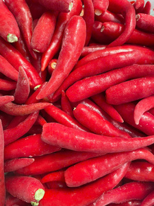 Piment rouge entier surgelé IQF du Vietnam, approvisionnement en vrac, piment surgelé IQF pour la transformation alimentaire, qualité d'exportation - Mme Tarina - Product Image 4