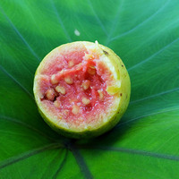 Verse Guave Fruit Biologisch 100% Natuurlijk Grote Maat Heldergroene Schil 0,20-0,25kg 24 Dagen Houdbaarheid Leverancier Beschikbaar