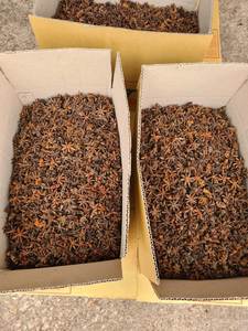 Meilleure qualité usine vietnamienne directe de graines d'anis étoilé séchées épices simples et herbes pour huile épicée ingrédients crus à bas prix - Product Image 6